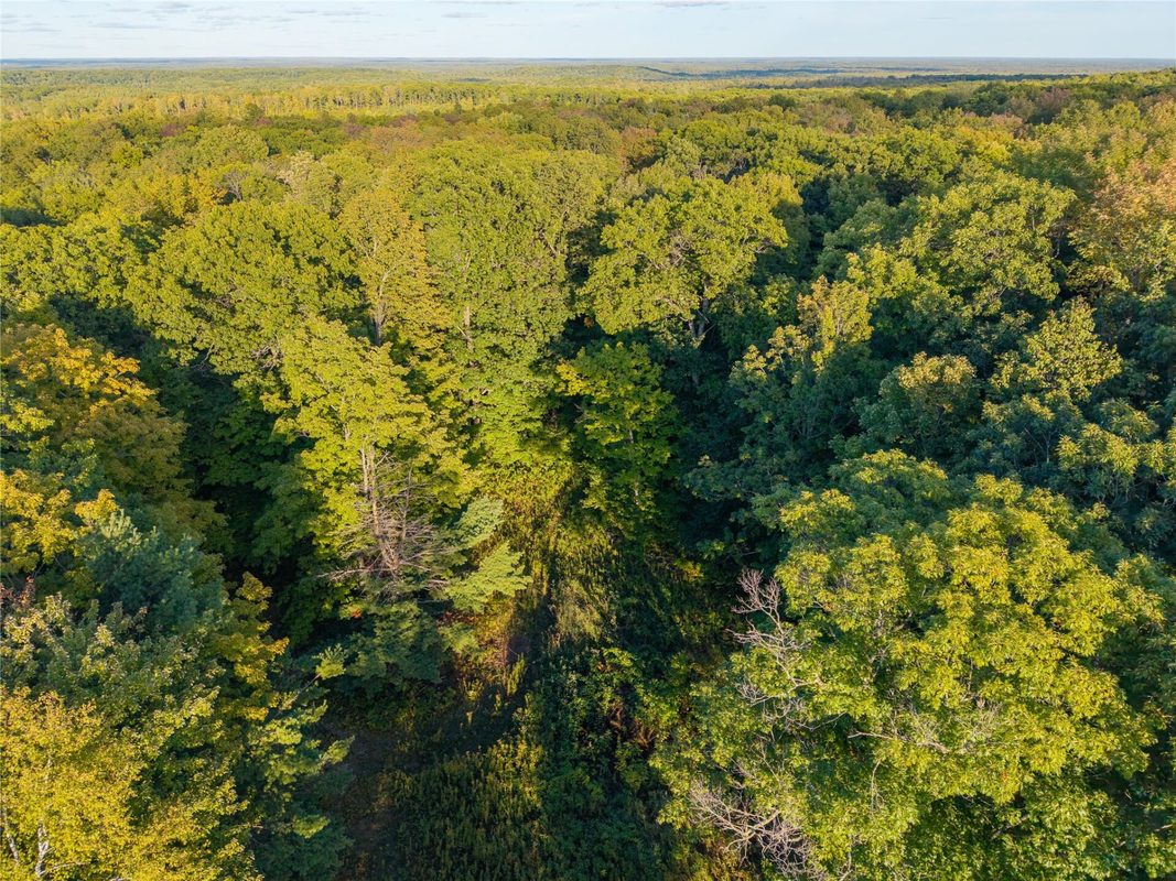 38.2 Acres Vierck Lane, Exeland WI 54835 - Land house for sale - MLS #1605286 - image12