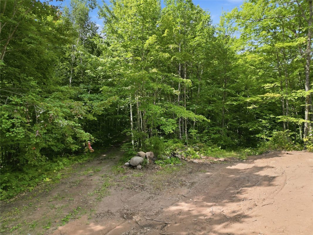 14358W County Highway E, Hayward WI 54843 - Land house for sale - MLS #1604653 - image15