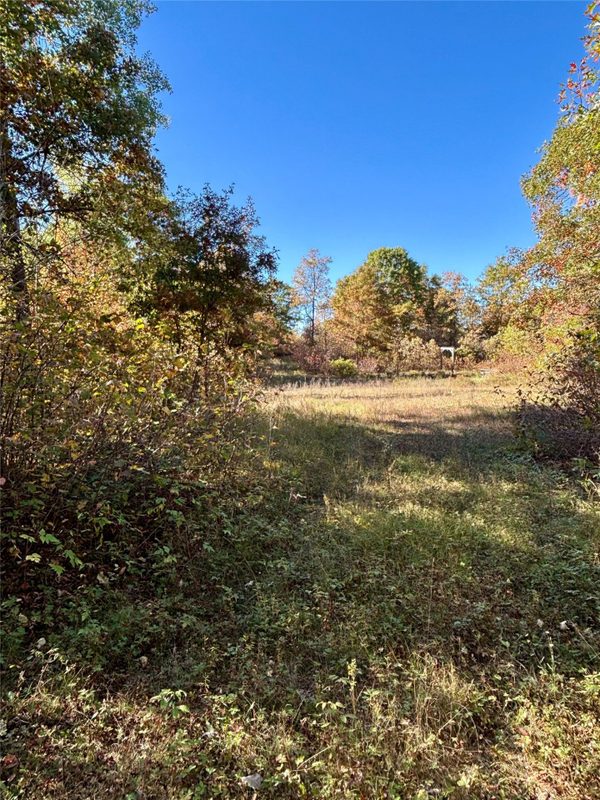 9524 Bergin Springs Road, Solon Springs WI 54873 - Land house for sale - MLS #1605714 - image4