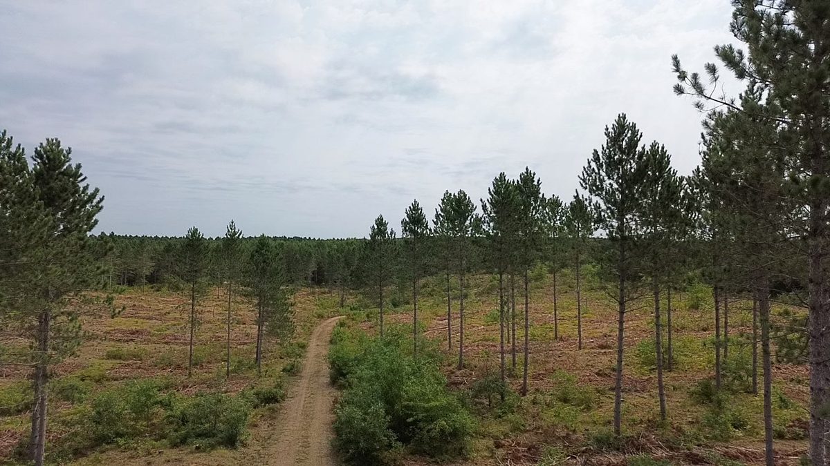 212X Ellison Lake Road, Barnes WI 54873 - Land house for sale - MLS #1604310 - image2