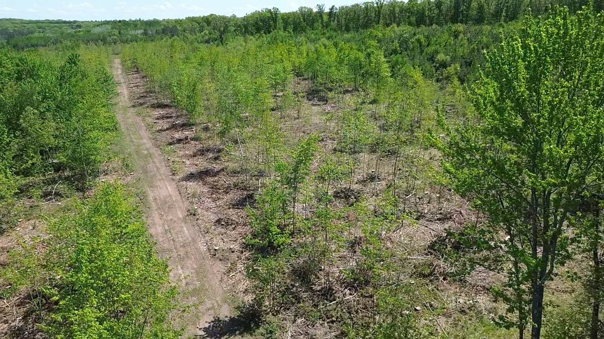343X 5th Avenue, Spooner WI 54801 - Land house for sale - MLS #1601653 - image14