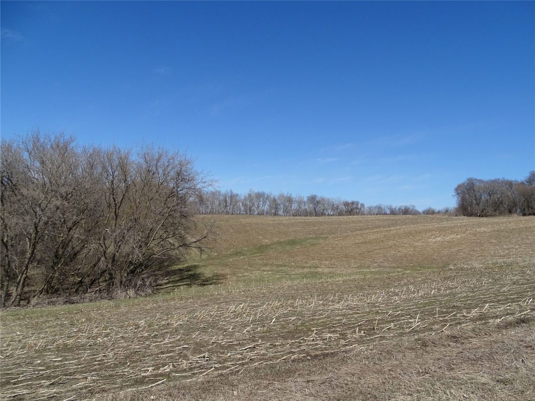 000 160th Avenue Maiden Rock WI 54750 — photo 4
