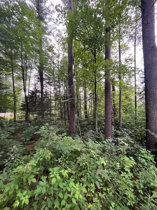 16876 Southview Trail, Stone Lake WI 54876 - Land house for sale - MLS #1599724 - image20