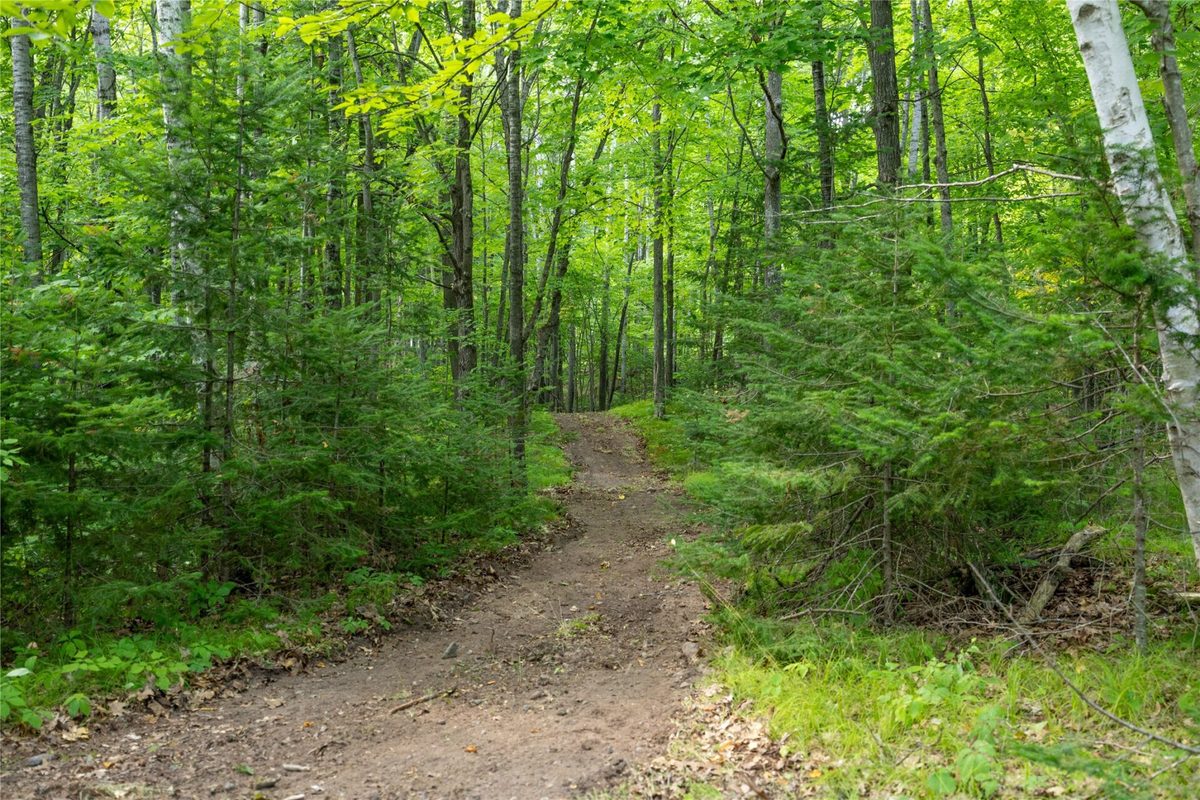 W5957 Happy Acres Road, Tony WI 54563 - Land house for sale - MLS #1604243 - image13