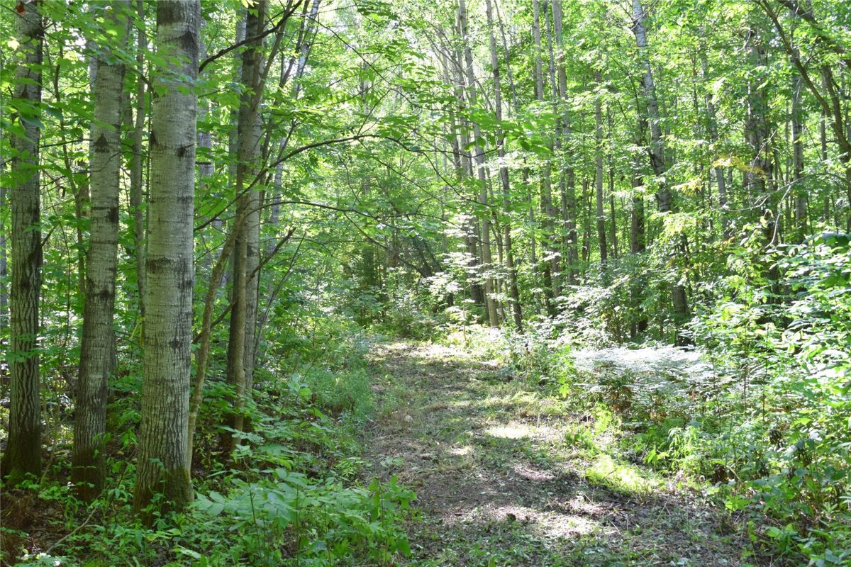 26615 Star Route Road, Bayfield WI 54814 - Land house for sale - MLS #1604800 - image30