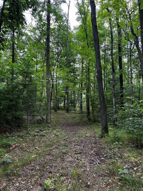 Lots 5 & 6 State Highway 70, Spooner WI 54801 - Land house for sale - MLS #1604806 - image33