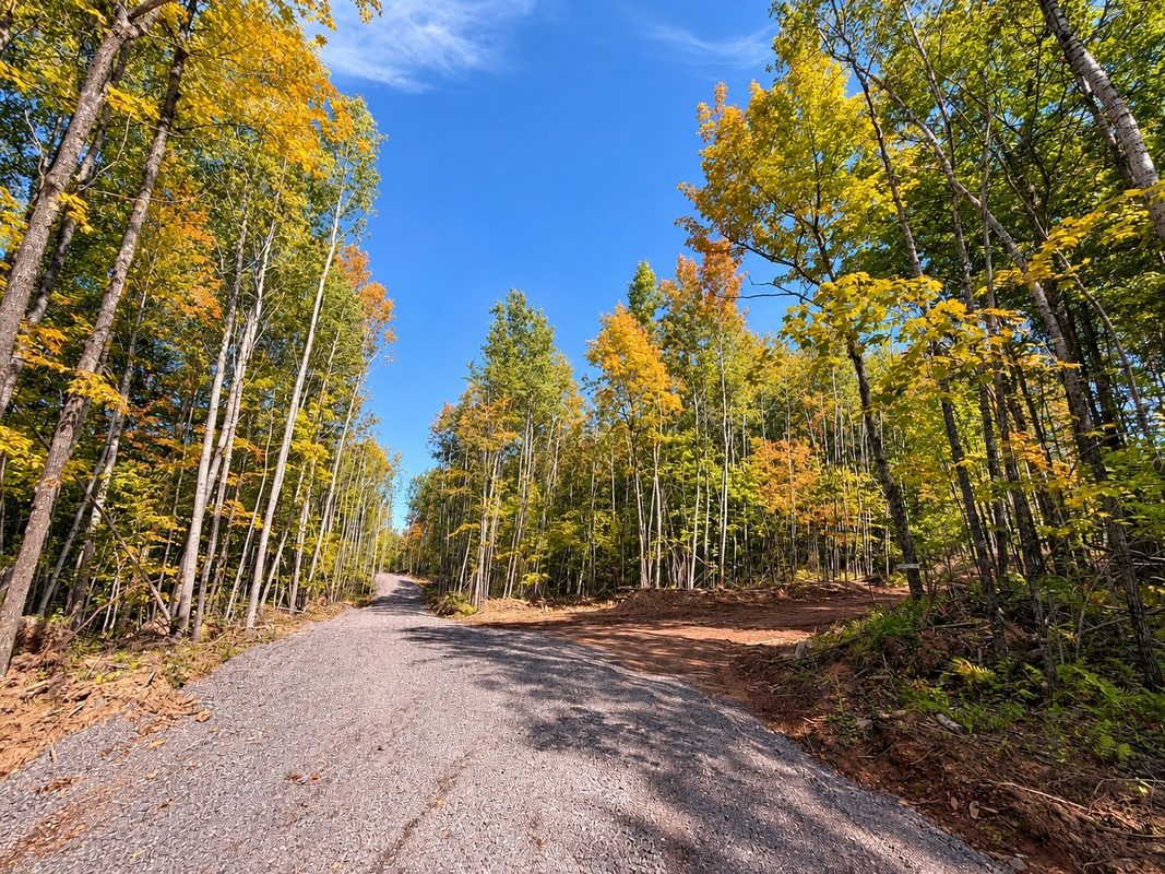Parcel 4 County Road A, Solon Springs WI 54873 - Land house for sale - MLS #1604811 - image4