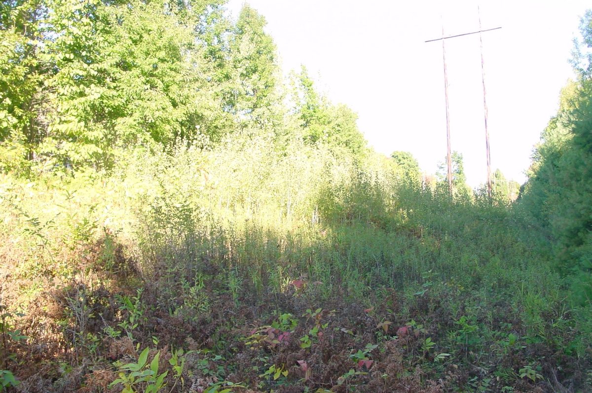 Lot 6 Mae West Road, Ladysmith WI 54848 - Land house for sale - MLS #1605333 - image12