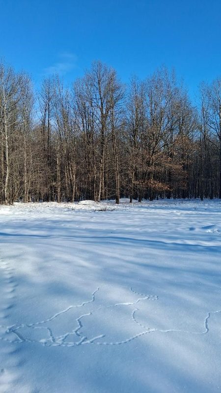 S825 Tower Road, Boyd, WI — photo 9