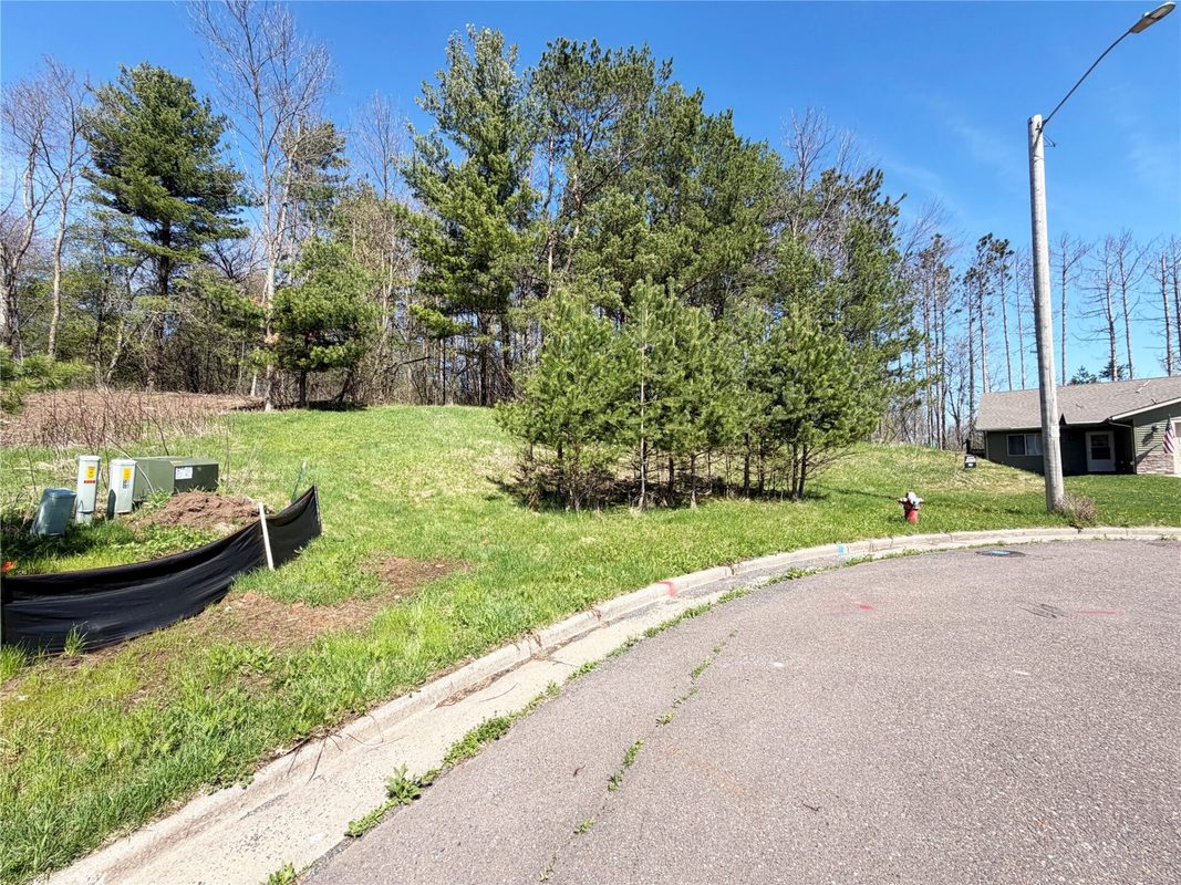 950 Emerald Court, Rice Lake, WI — photo 4
