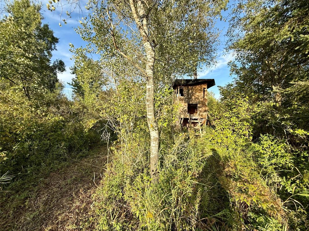 XX County Rd N, Kennan WI 54537 - Land house for sale - MLS #1605049 - image7