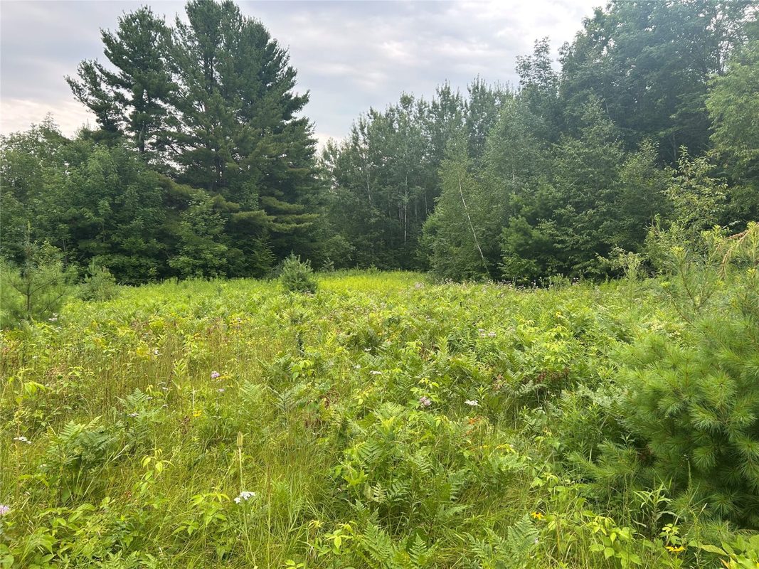 On Strabel Road, Stone Lake WI 54876 - Land house for sale - MLS #1604177 - image16
