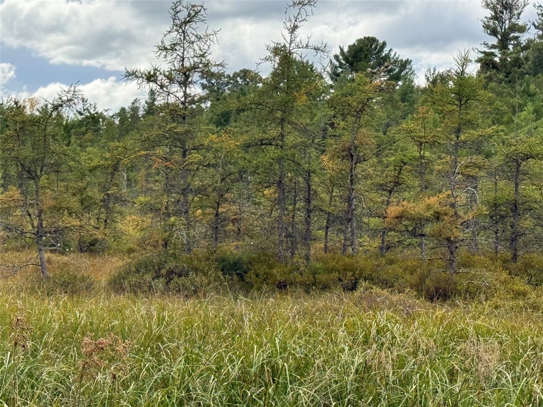 XXX 23 1/2 Street, Rice Lake WI 54868 - Land house for sale - MLS #1605312 - image17