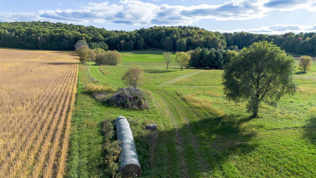 XXX 420th Avenue, Menomonie WI 54751 - Land house for sale - MLS #1605466 - image11