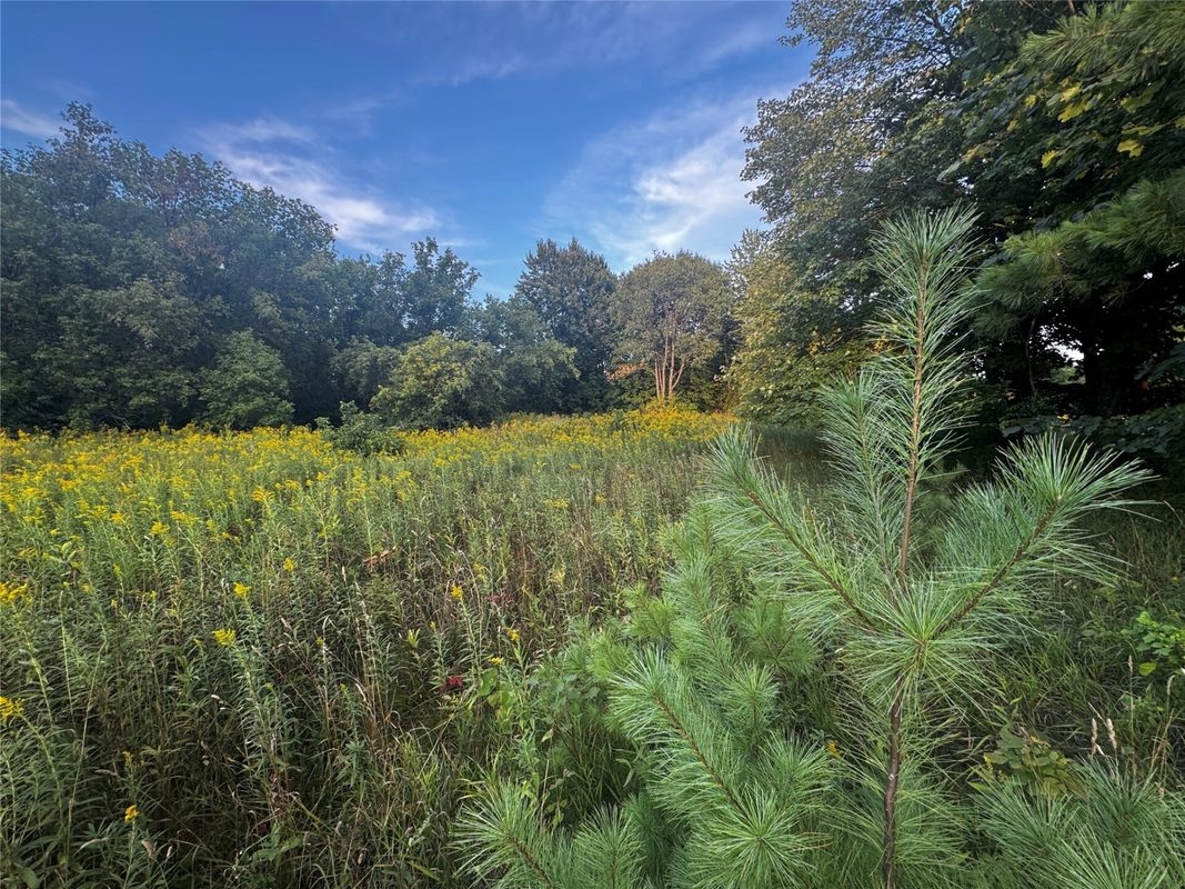 XX 340th, Clam Falls WI 54837 - Land house for sale - MLS #1605346 - image16