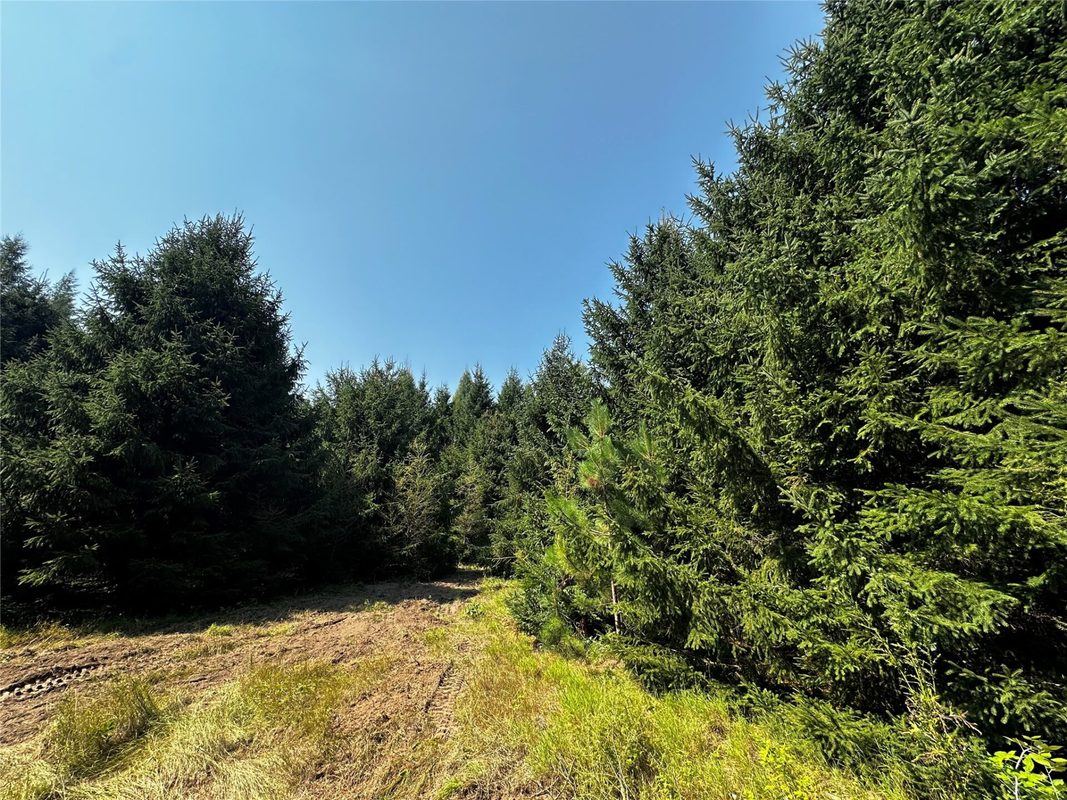 N9679 630th Street, Colfax WI 54730 - Land house for sale - MLS #1604625 - image18