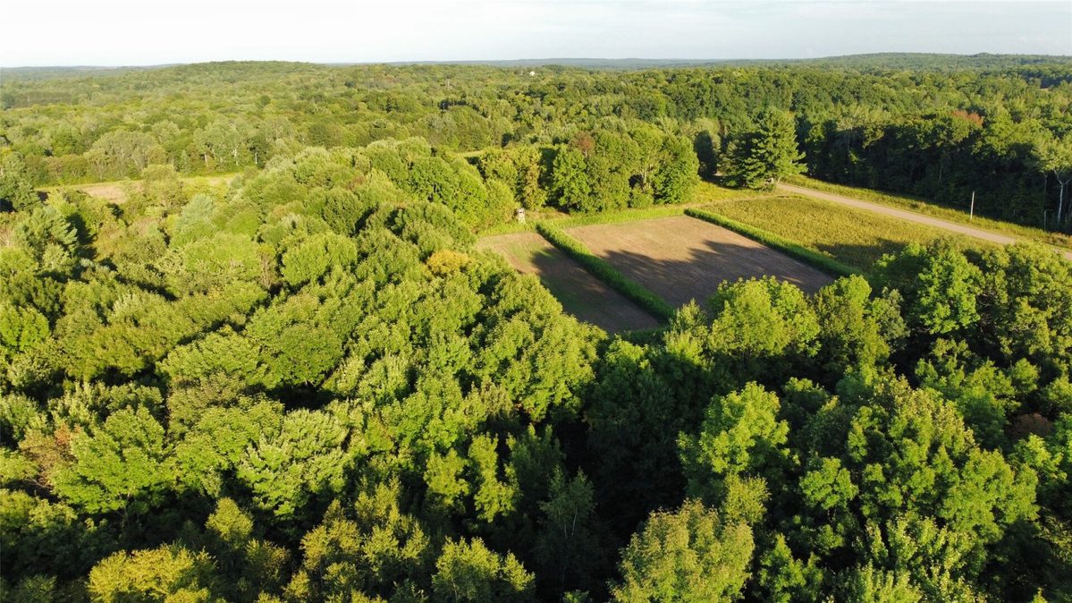 XX 340th, Clam Falls WI 54837 - Land house for sale - MLS #1605346 - image11