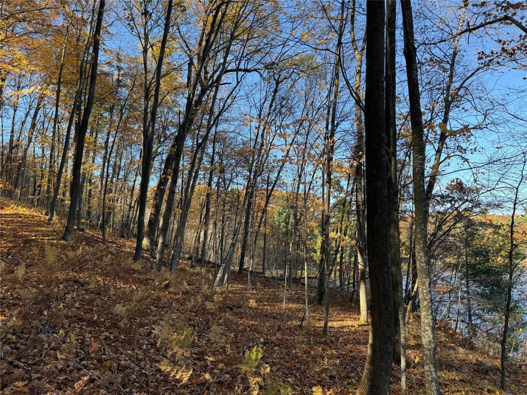 XXX County Hwy MD, Sarona WI 54870 - Land house for sale - MLS #1605948 - image17