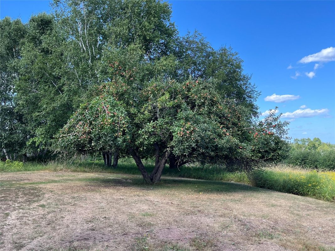 21920 N Sweden Rd, grand view WI 54839 - Residential house for sale - MLS #1605239 - image18