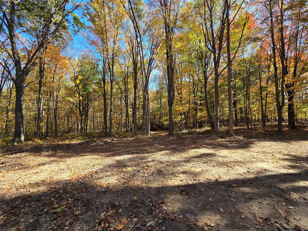 2541 County Hwy D, Boyd WI 54726 - Land house for sale - MLS #1605930 - image9