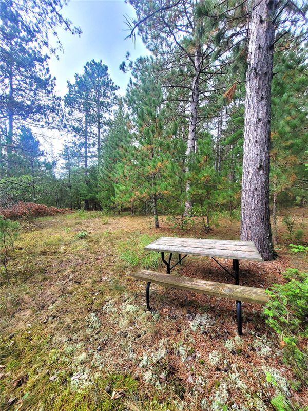 0 Blueberry Rd, Gordon WI 54838 - Land house for sale - MLS #1604990 - image22
