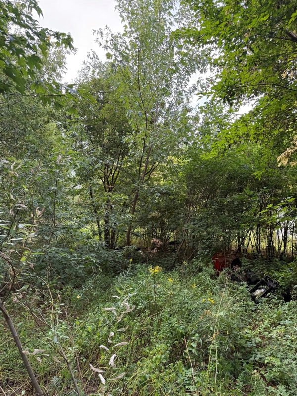 5956 County Hwy H, Stanley WI 54768 - Land house for sale - MLS #1604622 - image23