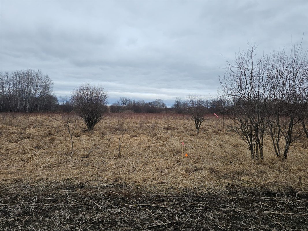 XXX 994th Avenue Boyceville WI 54725 — photo 14
