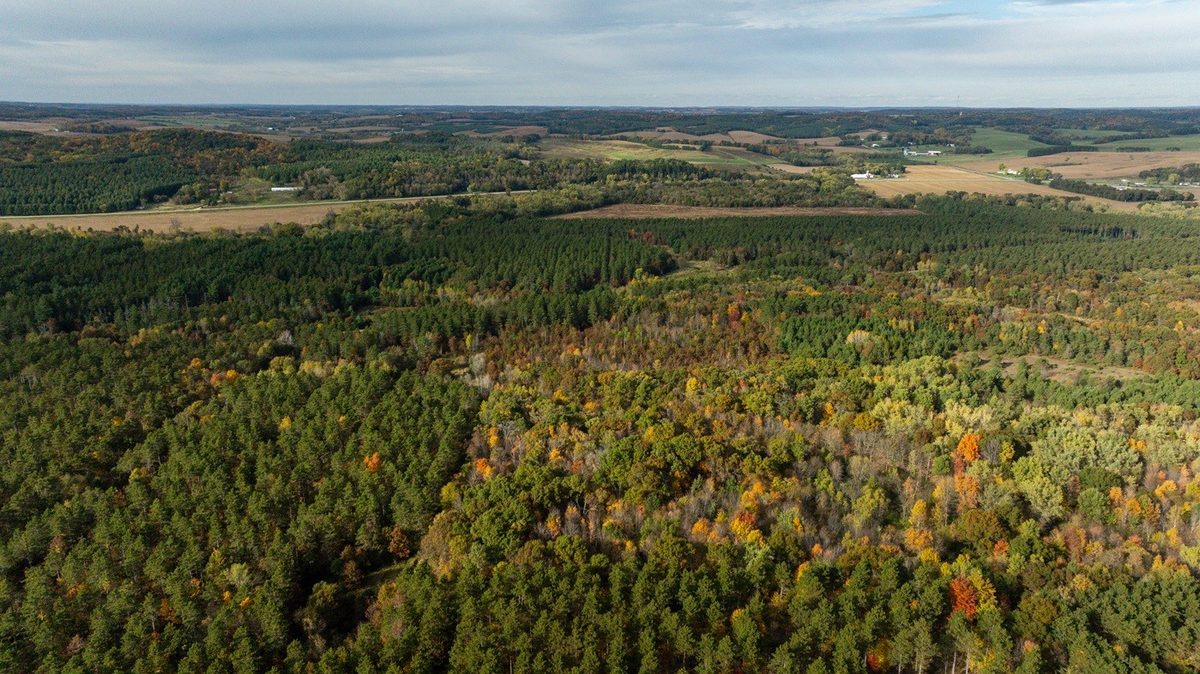 0 Prairie Road, Osseo WI 54758 - Land house for sale - MLS #1605860 - image14