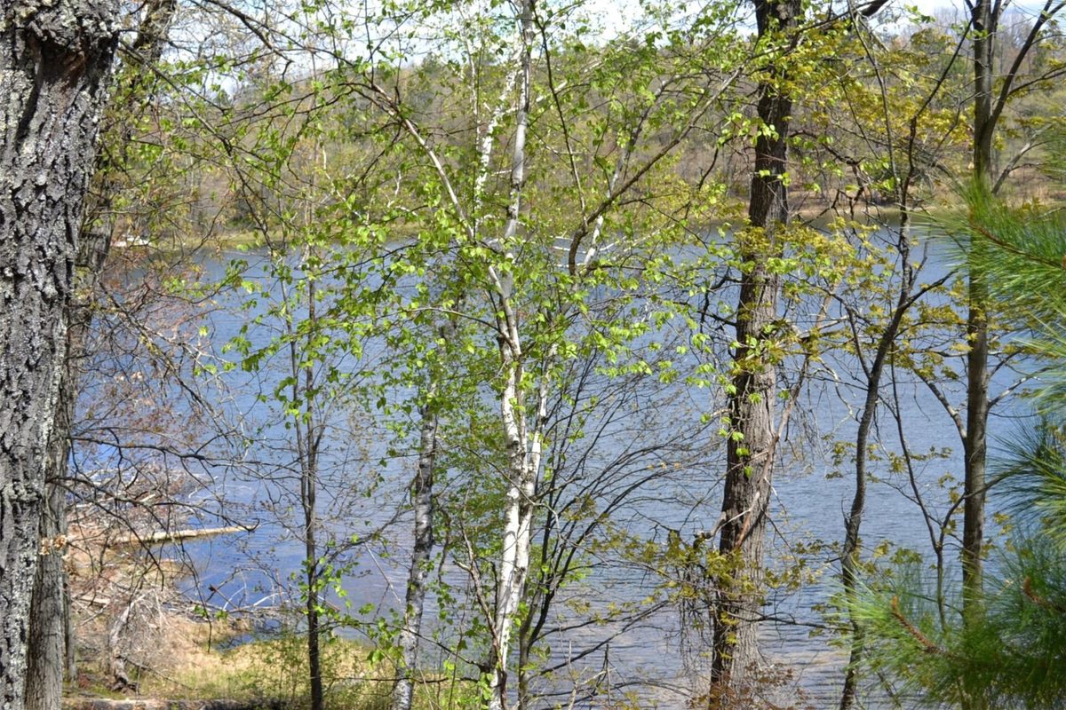1391 Dock Lake Road, Spooner WI 54801 - Land house for sale - MLS #1601069 - image15