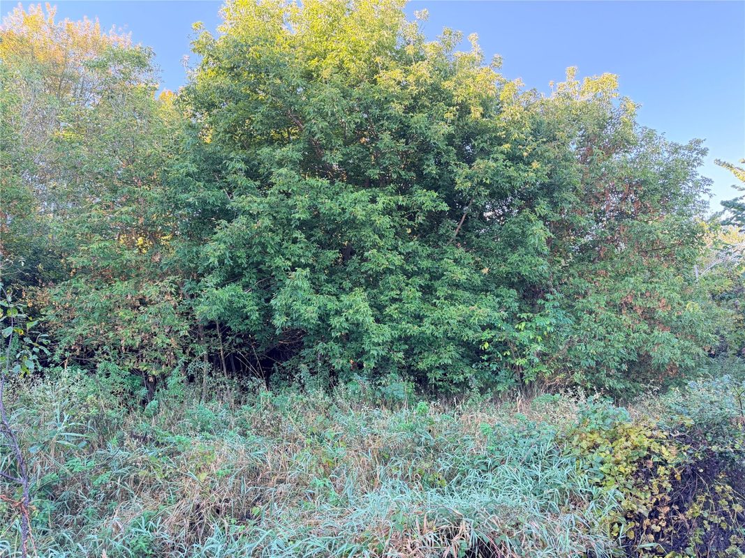 0 15th Avenue, Chippewa Falls WI 54729 - Land house for sale - MLS #1605583 - image4
