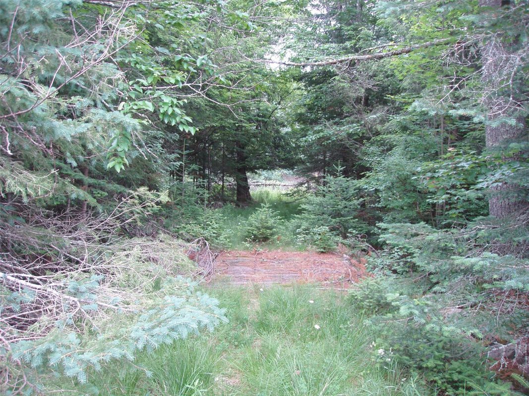 N16798 Bass Lake Road, Butternut WI 54514 - Residential house for sale - MLS #1603059 - image38