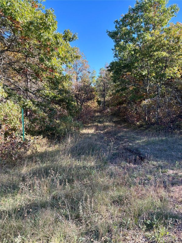 9524 Bergin Springs Road, Solon Springs WI 54873 - Land house for sale - MLS #1605714 - image17
