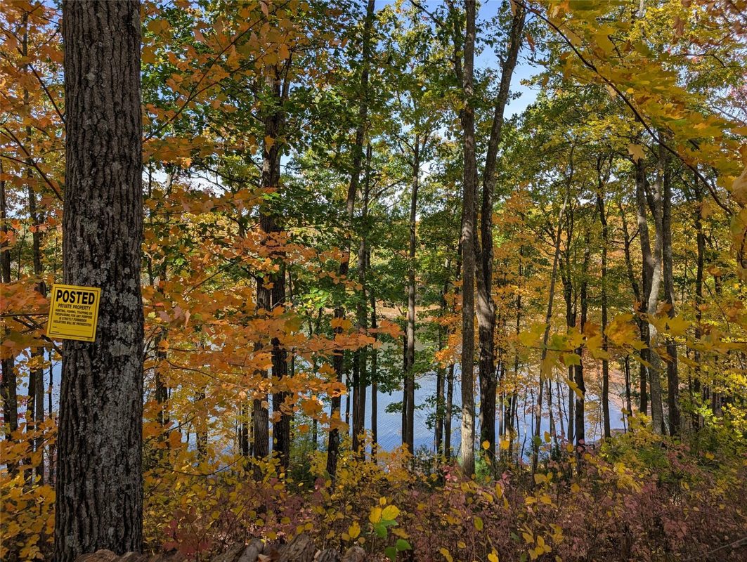 9703 Thunderbird Road, Hayward WI 54843 - Land house for sale - MLS #1605873 - image9