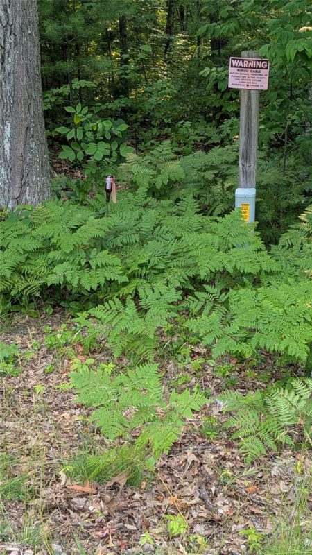 Lot 4 County Highway CC, Couderay WI 54828 - Land house for sale - MLS #1603366 - image12