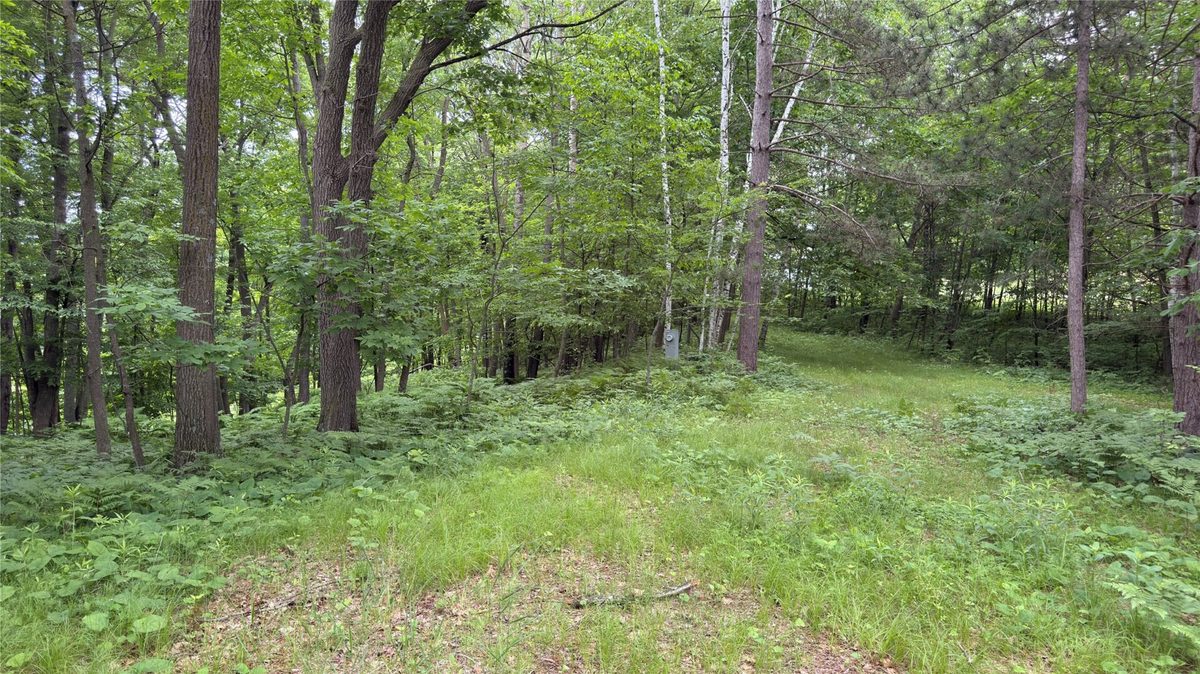 765 270th Ave Cty Rd O, Frederic WI 54837 - Land house for sale - MLS #1602300 - image17