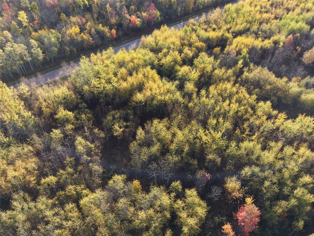 On County Highway W, Winter WI 54896 - Land house for sale - MLS #1605419 - image9