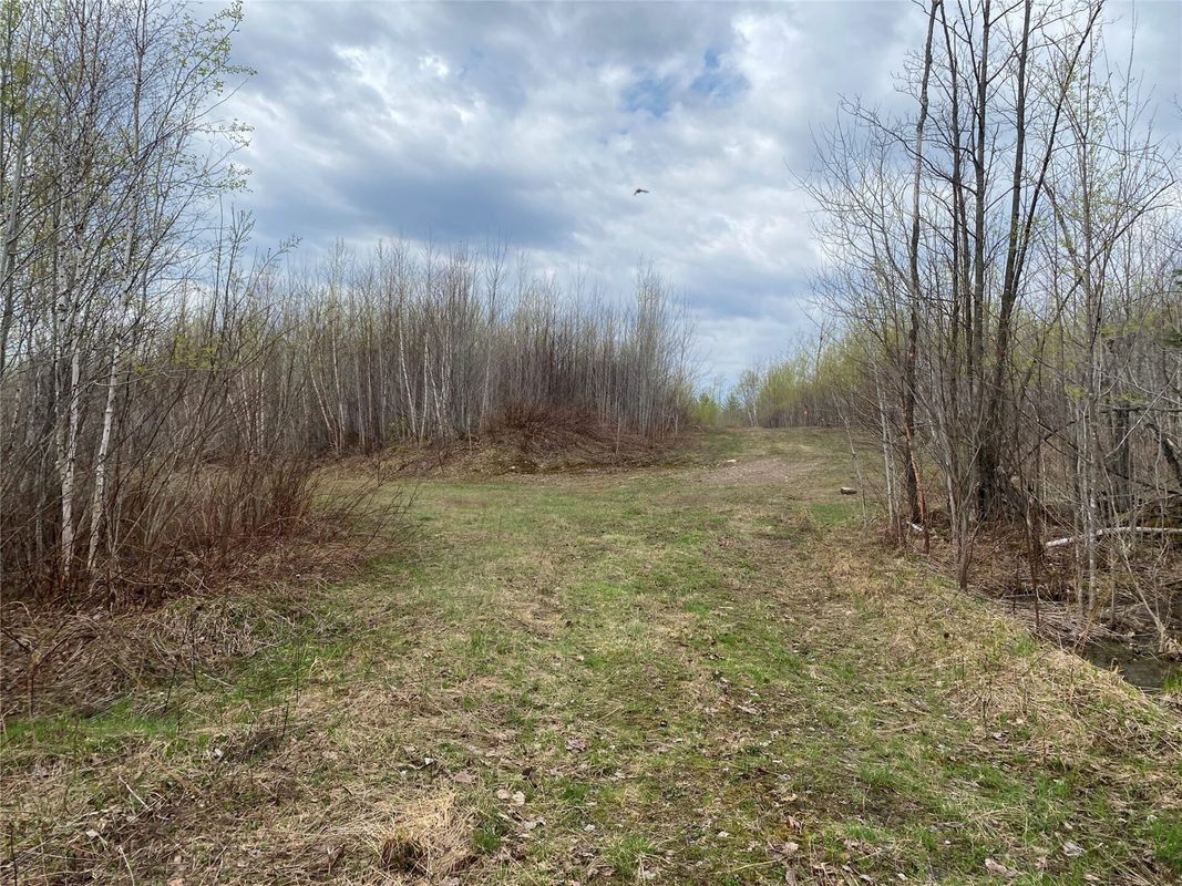 Near Wilson Lake Road Phillips WI 54555 — photo 3