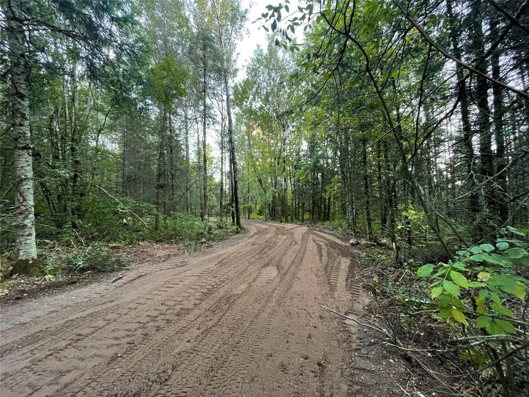 Lot 3 Fadness Road, Winter WI 54896 - Land house for sale - MLS #1605263 - image3