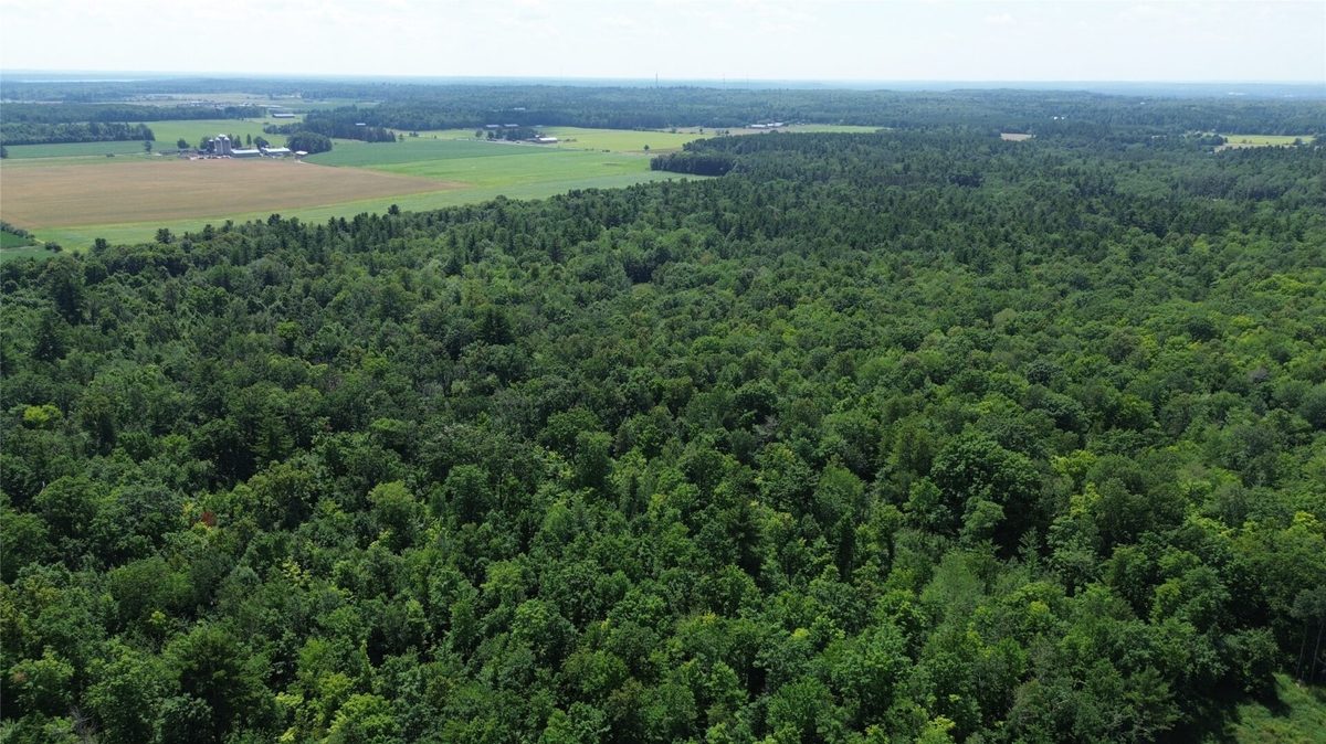 13743W State Highway 77, Hayward WI 54843 - Land house for sale - MLS #1603311 - image11