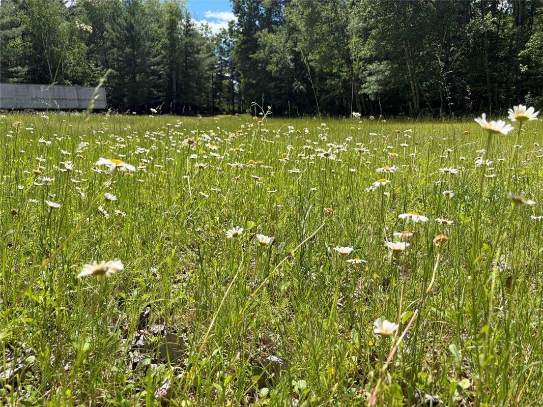 W6858 County Road H, Phillips WI 54555 - Residential house for sale - MLS #1602664 - image48