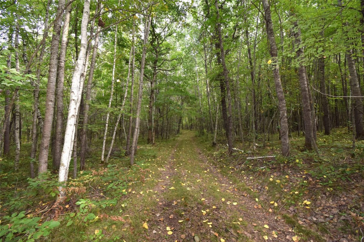 28206 Pardun Road, Danbury WI 54830 - Land house for sale - MLS #1604938 - image19