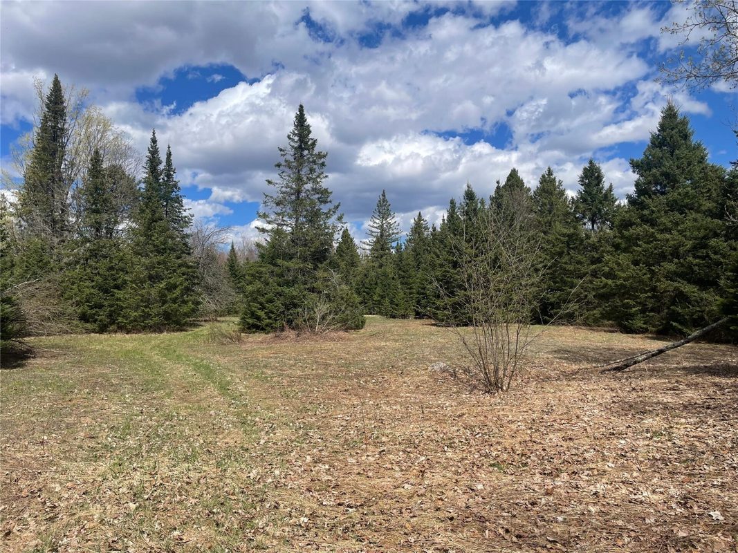 81620 Pociask Road, Butternut WI 54514 - Land house for sale - MLS #1601089 - image7