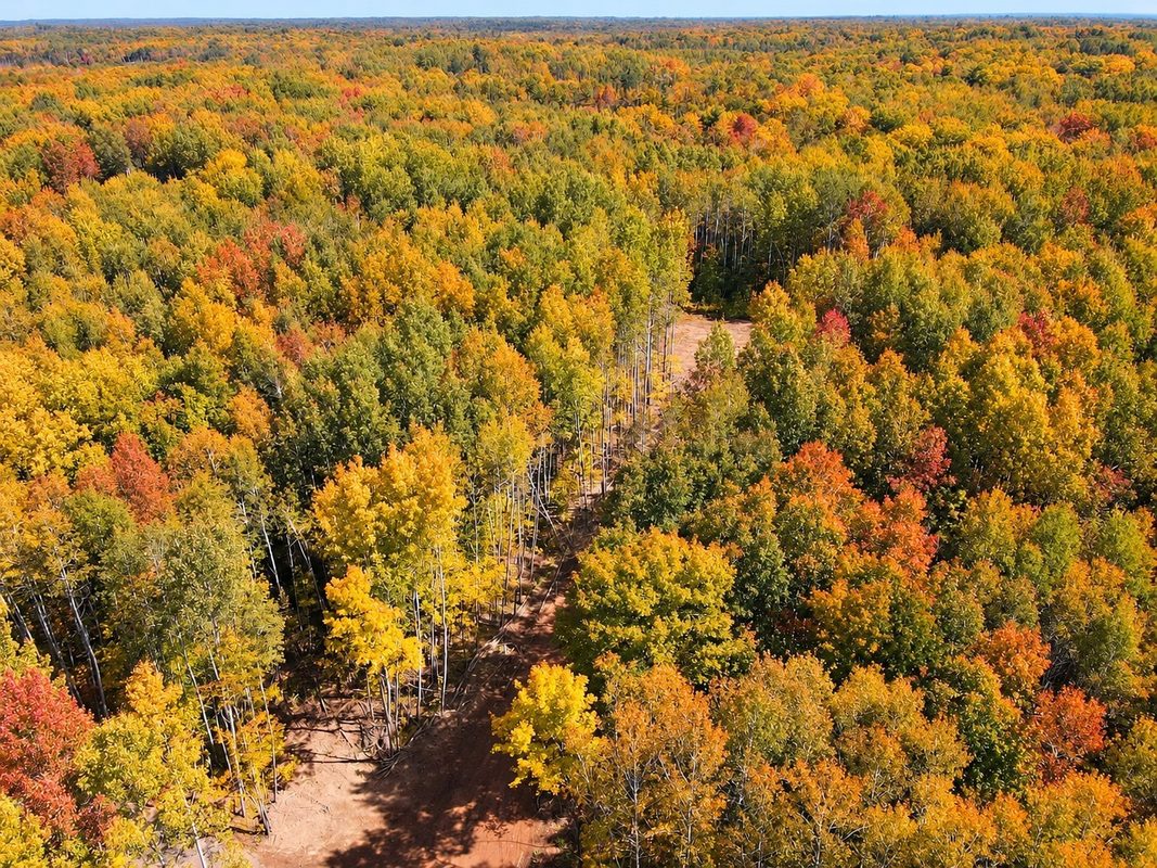 Parcel 4 County Road A, Solon Springs WI 54873 - Land house for sale - MLS #1604811 - image29