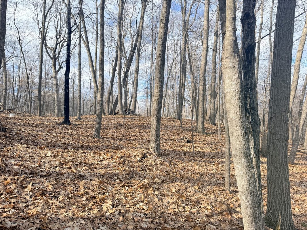 Residential at 0 216th Street, Luck, WI 54853 — photo 11