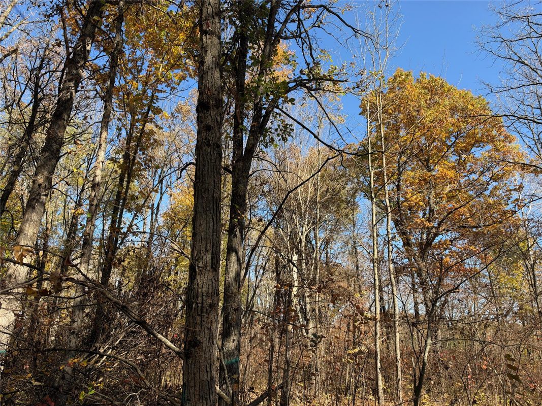 OOO Richfield Wood Road, Arpin WI 54410 - Land house for sale - MLS #1605936 - image43