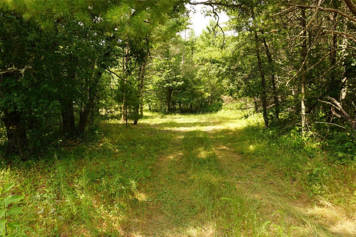 N9105 Flood Road, Black River Falls WI 54615 - Land house for sale - MLS #1603584 - image11
