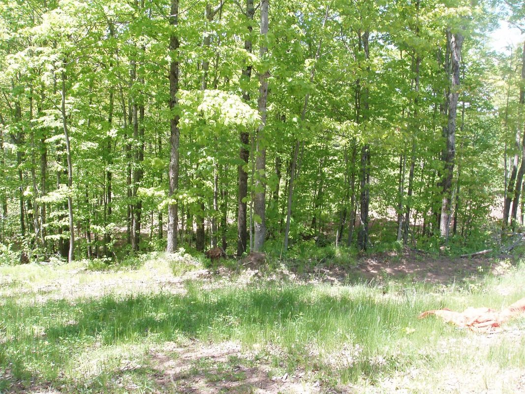 Lot 1 On Highway 169, Mellen, WI — photo 2