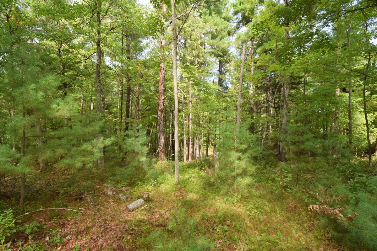 28206 Pardun Road, Danbury WI 54830 - Land house for sale - MLS #1604938 - image35