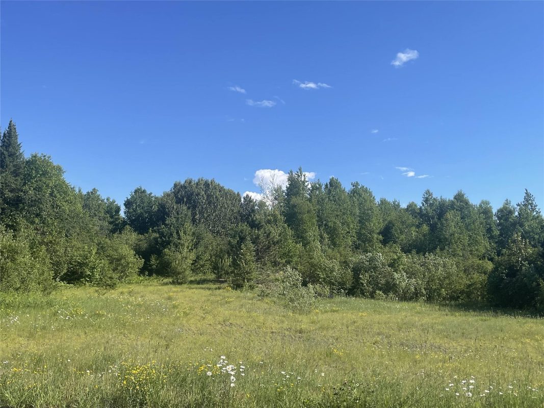 39+/- A on County Highway E, Iron Belt WI 54536 - Land house for sale - MLS #1602959 - image10