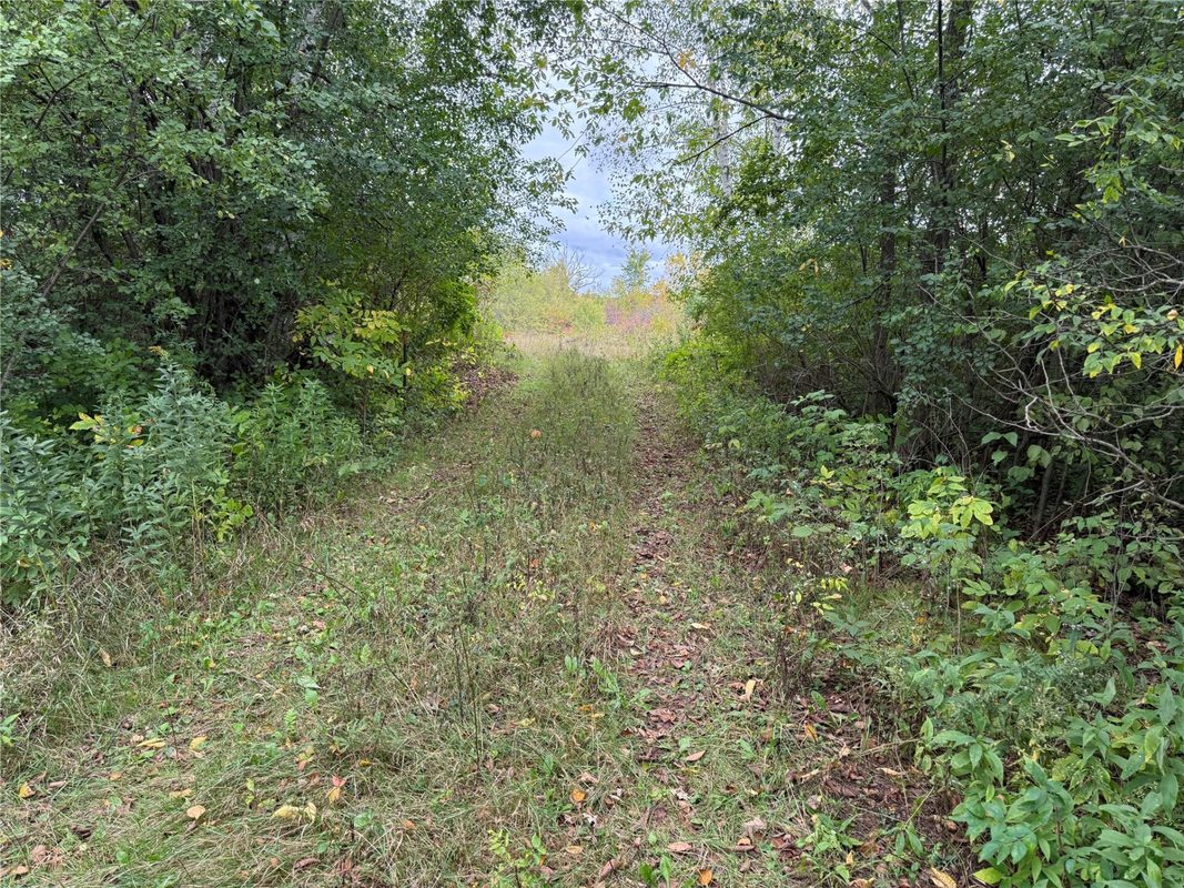XXX 23 1/2 Street, Rice Lake WI 54868 - Land house for sale - MLS #1605312 - image5